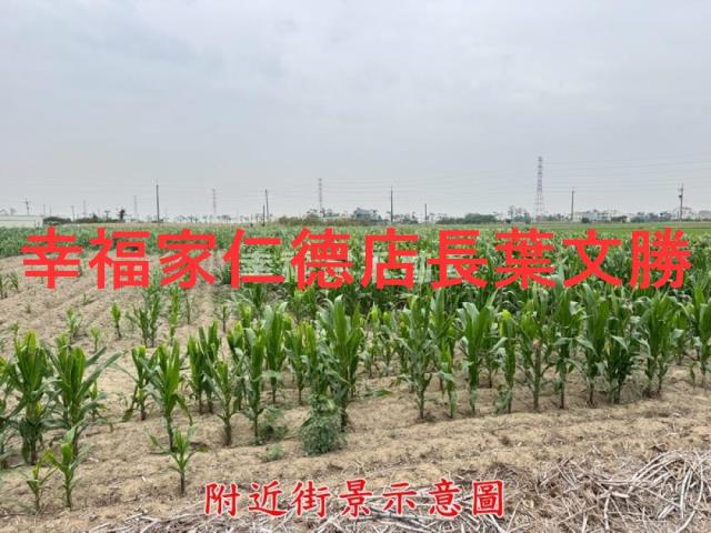台南農地-11