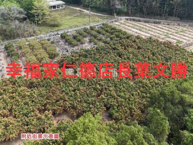 台南官田農地-3