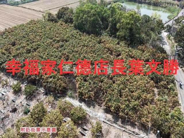 台南官田農地-4