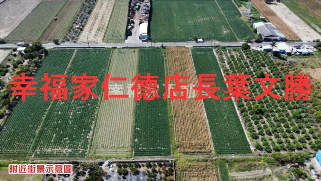 台南新化農地-4