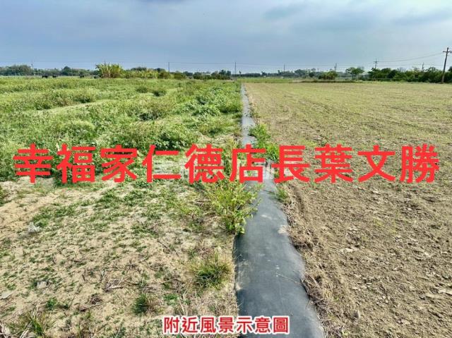 善化農地-13
