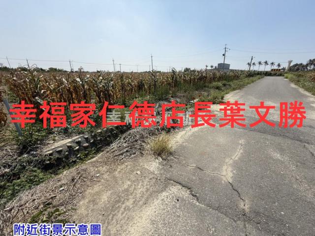 台南鹽水農地-2