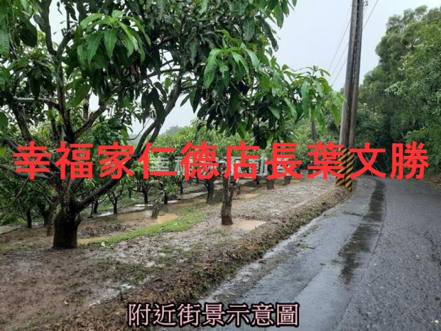 台南大內農地-3