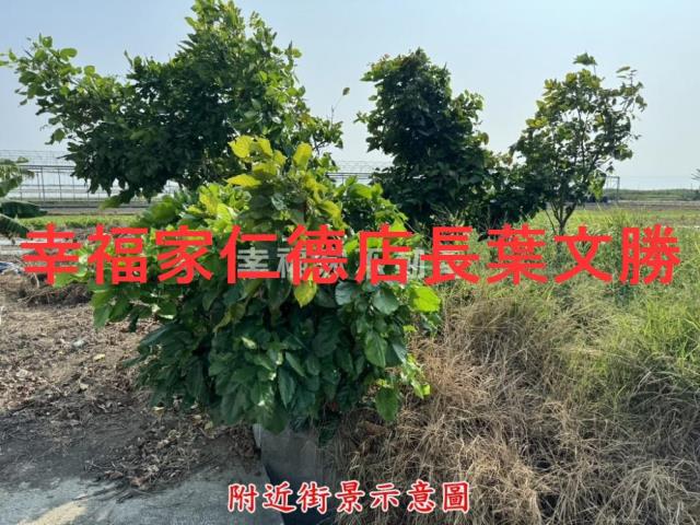 台南北區農地-2