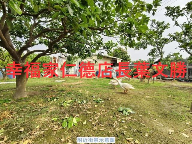 台南麻豆農地-1