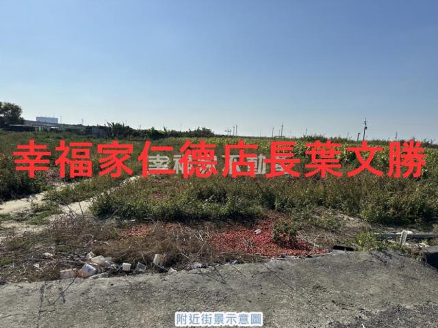 台南新市農地-12