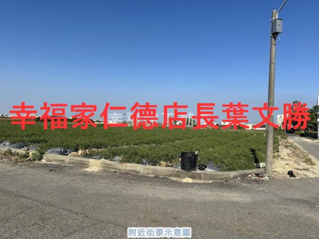 台南新市農地-6