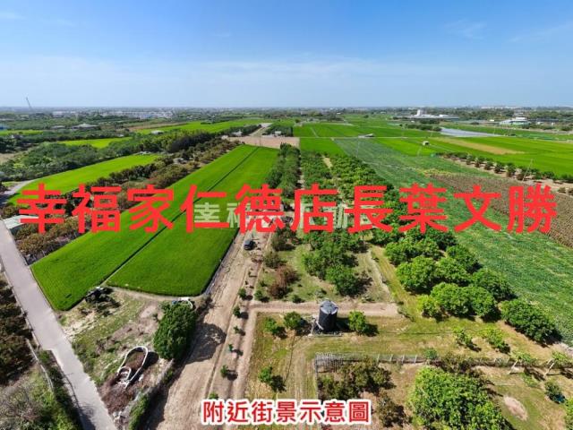 麻豆農地-14