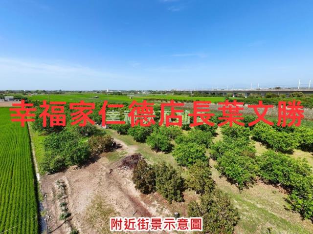 麻豆農地-8