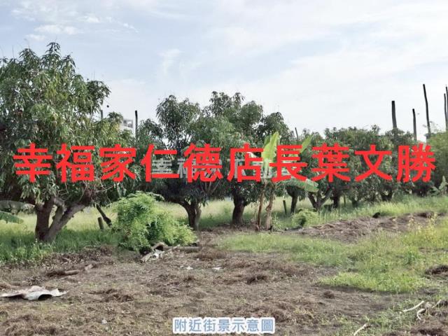台南永康農地-11