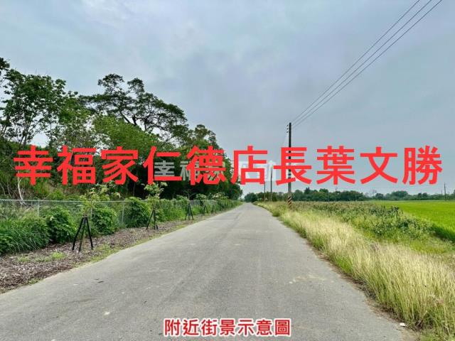 台南善化農地-14