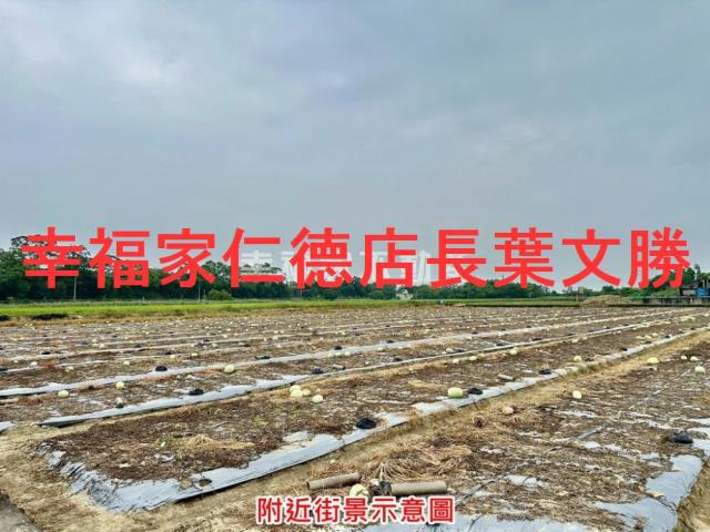 台南善化農地-1