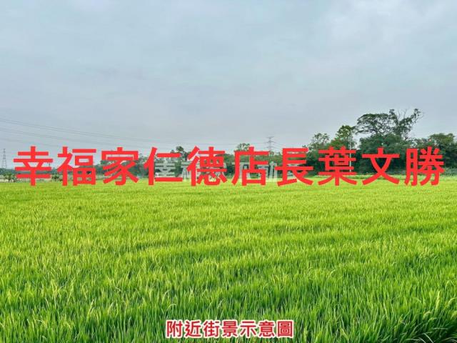 台南善化農地-5