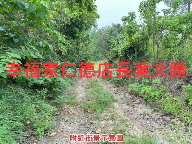 善化農地-12