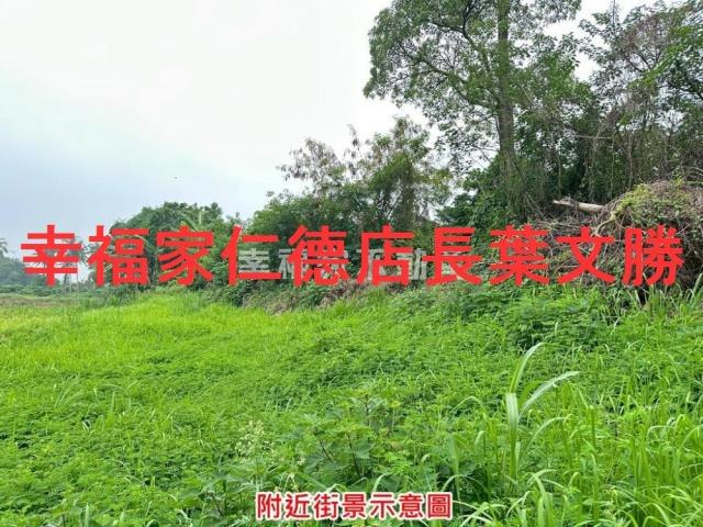善化農地-0
