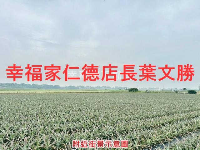 新市農地-9