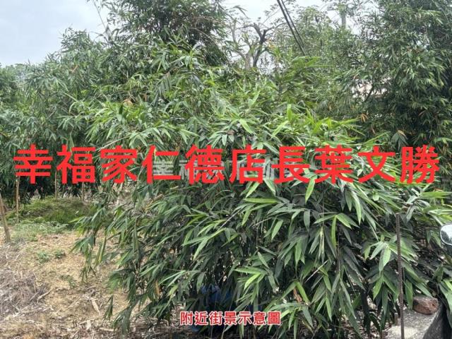 台南農地-0