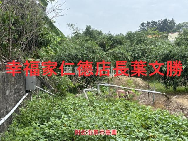 台南農地-2
