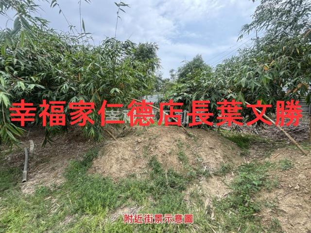 台南農地-3