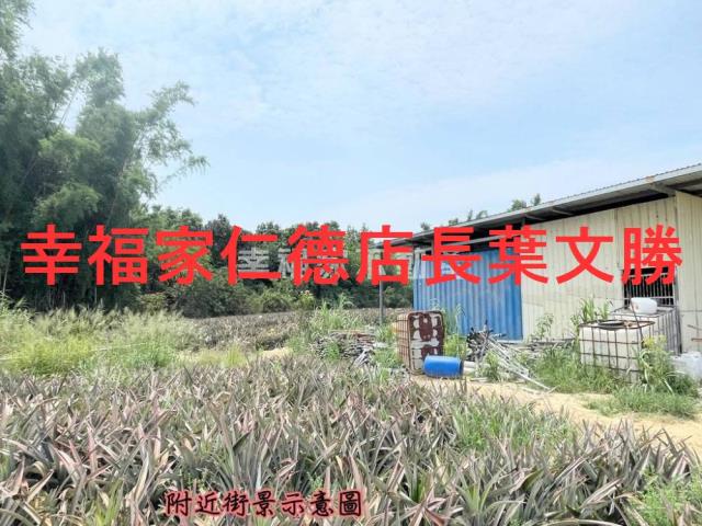 關廟農地-3
