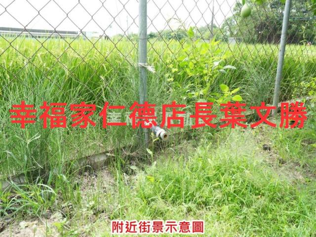 麻豆農地-10
