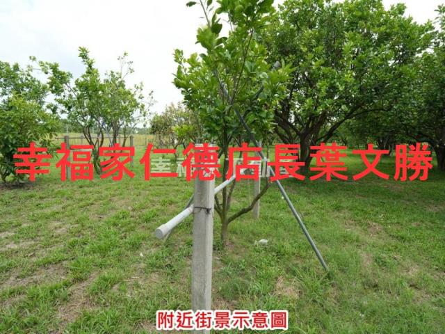 麻豆農地-13