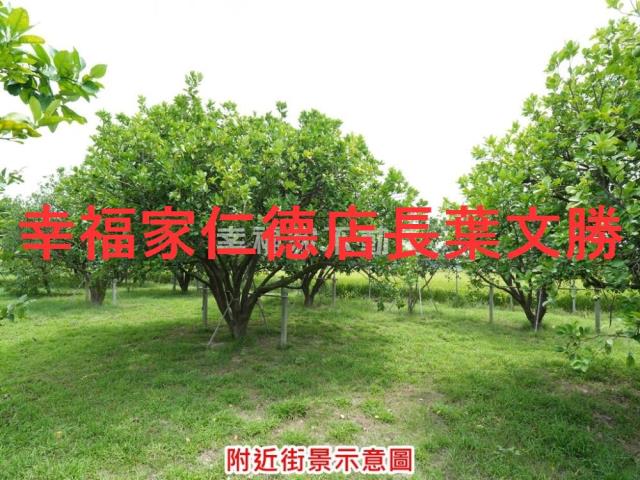 麻豆農地-6