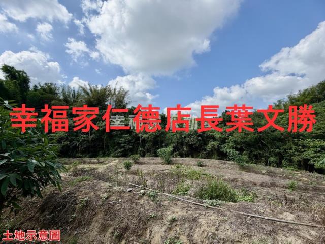台南關廟農地-14