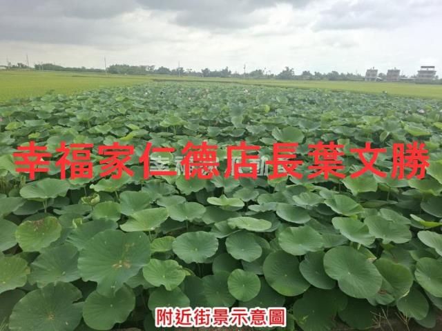 台南白河農地-9