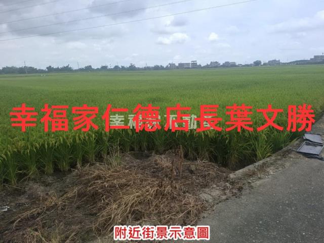 台南白河農地-13