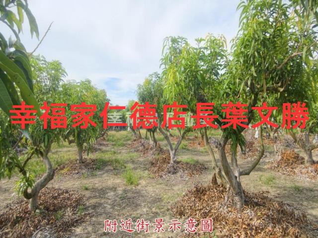 官田農地-1