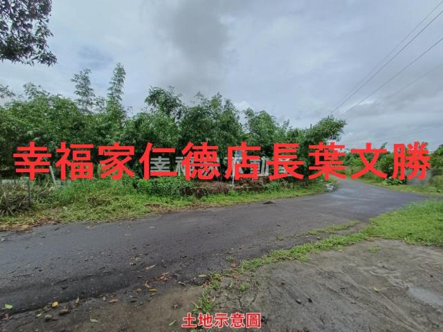 歸仁農地-17