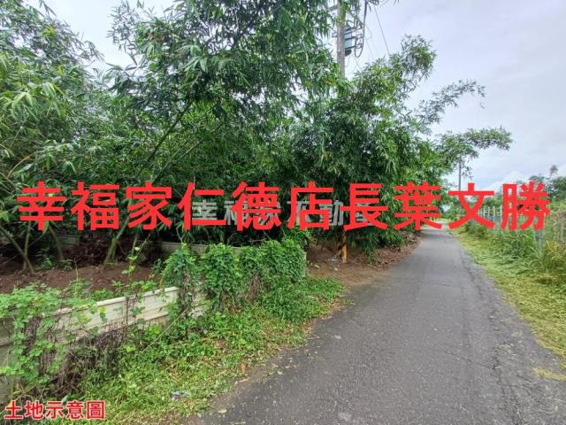 歸仁農地-0