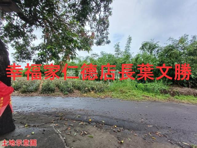 歸仁農地-21