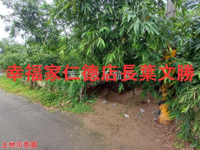 歸仁農地-7