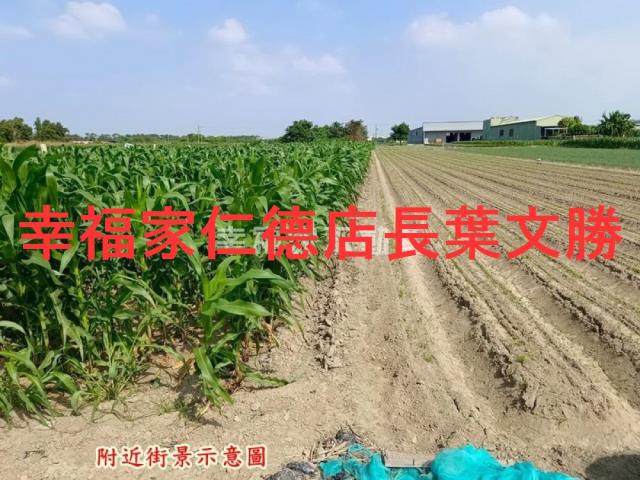 台南安定農地-8