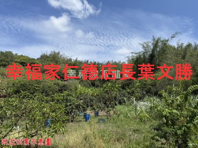 玉井農地-12