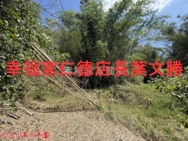 玉井農地-14