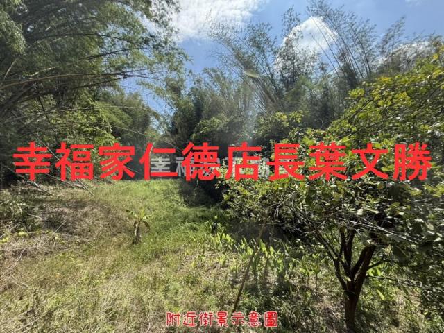 玉井農地-7