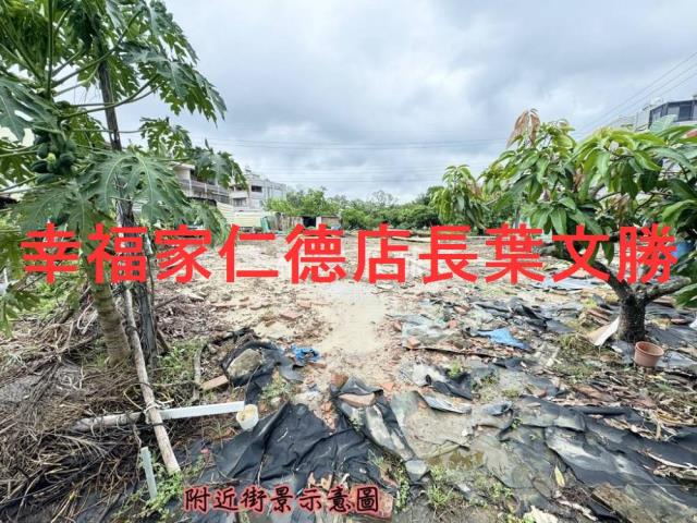 台南建地-9