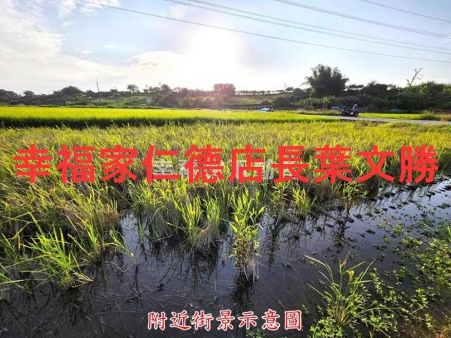 台南農地-3