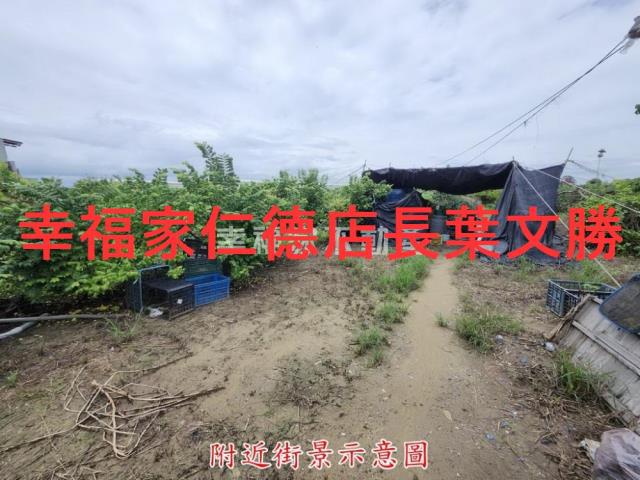 台南山上農地-6