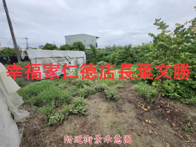 台南山上農地-7