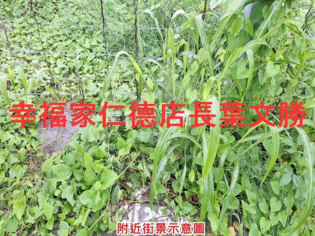 善化建地-4