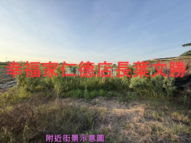 台南農地-7