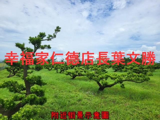 將軍農地-3