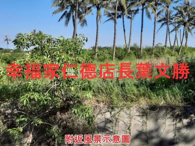 七股農地-11