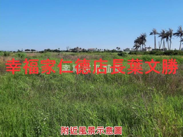 七股農地-12