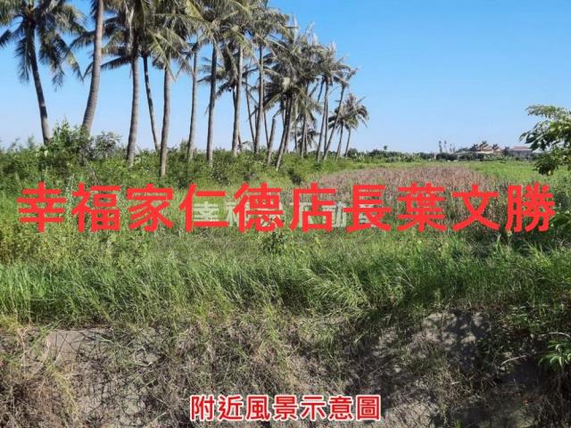 七股農地-8